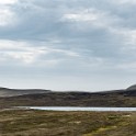 Shetland 381 copia